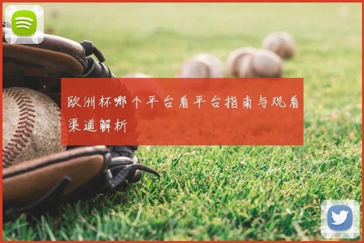 欧洲杯哪个平台看平台指南与观看渠道解析