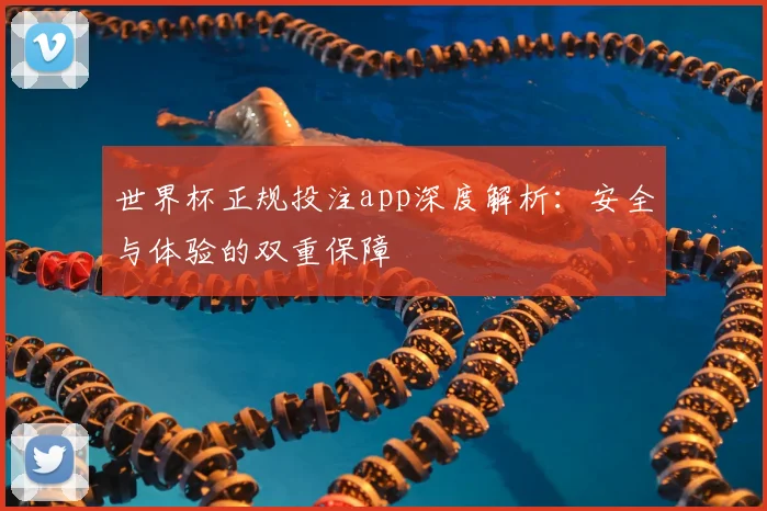 世界杯正规投注app深度解析:安全与体验的双重保障