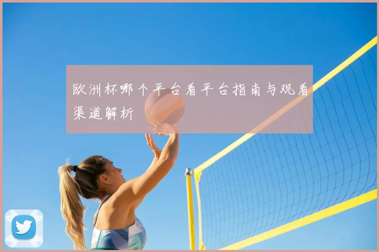 欧洲杯哪个平台看平台指南与观看渠道解析
