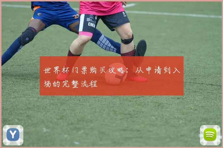 世界杯门票购买攻略：从申请到入场的完整流程