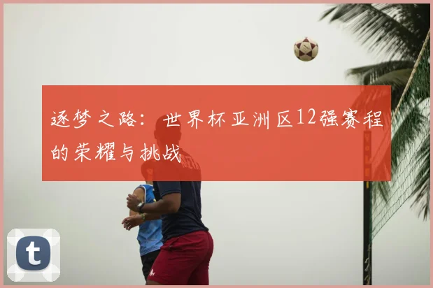 逐梦之路:世界杯亚洲区12强赛程的荣耀与挑战
