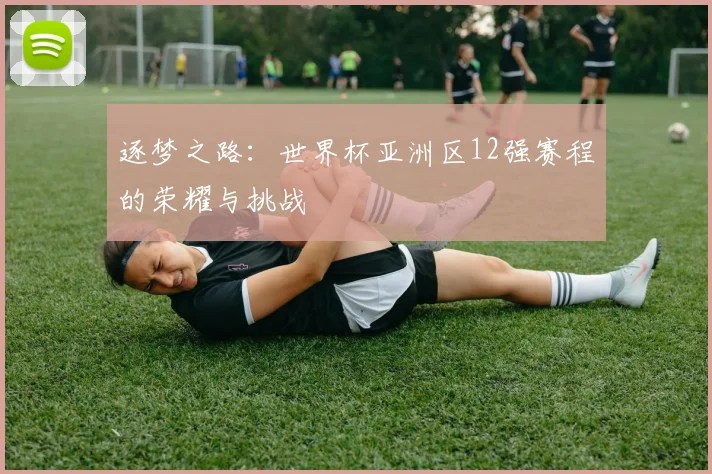 逐梦之路：世界杯亚洲区12强赛程的荣耀与挑战