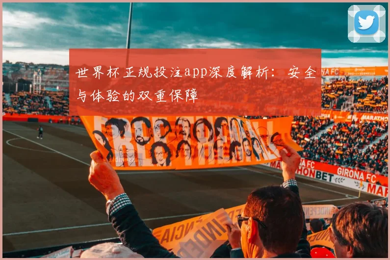 世界杯正规投注app深度解析:安全与体验的双重保障
