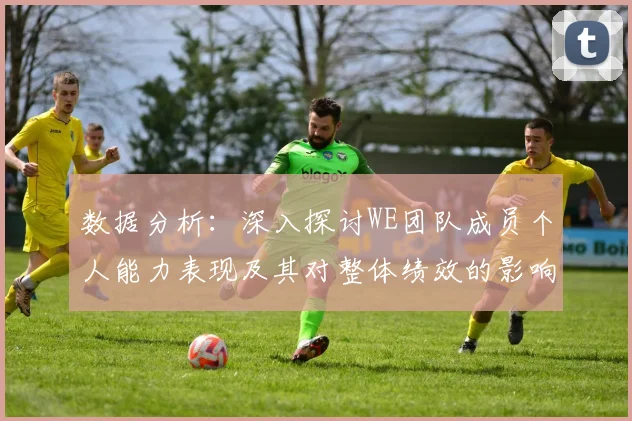 数据分析:深入探讨WE团队成员个人能力表现及其对整体绩效的影响